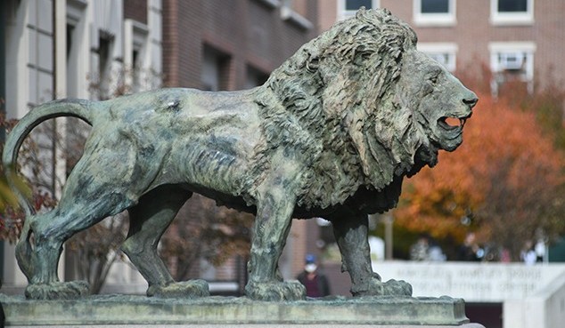Columbia Lion