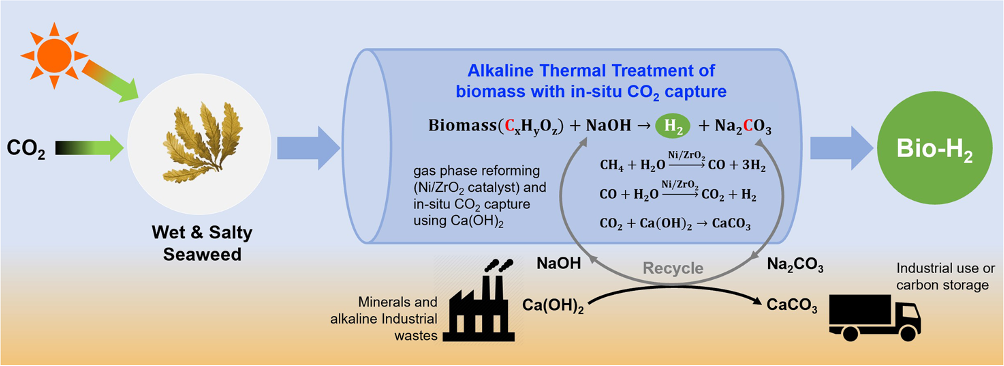 Figure 2– Alkaline thermal treatment (ATT) of seaweed innovatively produces high purity bio-H2 from wet and salty biomass feedstock with a carbon capture and storage potential. (Ref: Kang Zhang, Woo-Jae Kim and Ah-Hyung Alissa Park, “Alkaline Thermal Treatment of Seaweed for High-purity Hydrogen Production with Carbon Capture and Storage Potential,” Nature Communication 11(1) (2020). DOI: 10.1038/s41467-020-17627-1) Alkaline thermal treatment (ATT) of seaweed innovatively produces high purity bio-H2 from wet and salty biomass feedstock with a carbon capture and storage potential.